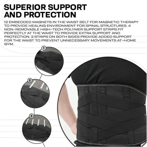 RDX PB Adjustable Waist Support Belt Lumber Padded For Lower Back Pain | RDX