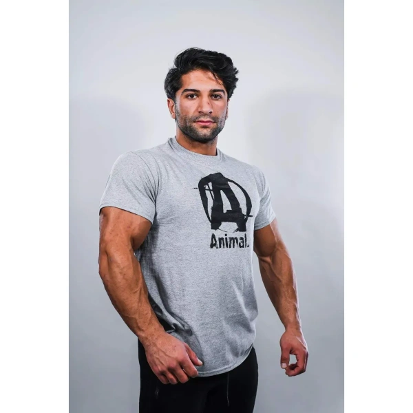 ANIMAL "A" LOGO Tee - Grey | Universal Nutrition