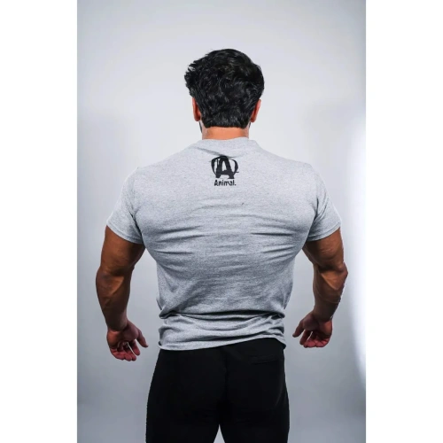 ANIMAL "A" LOGO Tee - Grey | Universal Nutrition