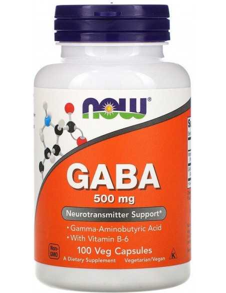 Now Foods, GABA, 500 mg, 100 kapslit