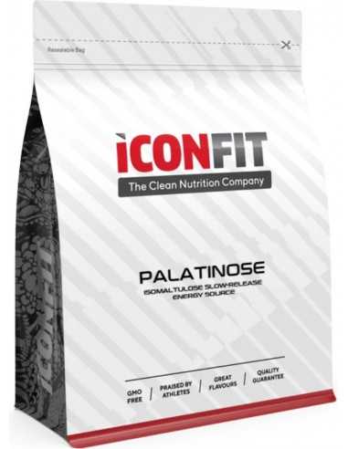 ICONFIT Palatinose™ isomaltuloos (1 KG)