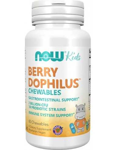 Now Foods, Berry Dophilus, Kids, 2 Billion, 60 Chewable