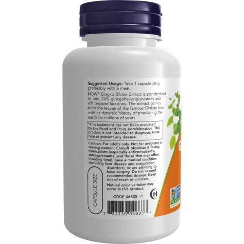 Now Foods, Ginkgo Biloba, Double Strength 120 mg, 100 Veg Capsules | Now Foods